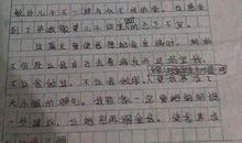 圆明园观后感_1200字