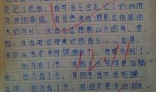 周记（四）_700字