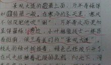 四年级写景作文：女儿城花海_300字