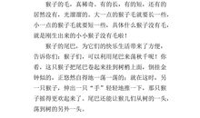 四年级写景作文：公园里的早晨_250字