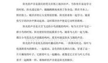 四年级写景作文：欢迎你冬爷爷_350字