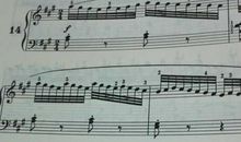 弹钢琴的小姑娘_100字