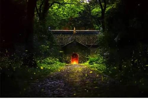 南京夏季夜_450字