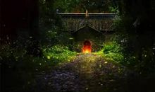 南京的夏夜_450字