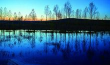 亮丽的风景线_750字