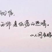 年流量年_800字