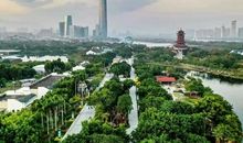 那双枯枝般的手_500字