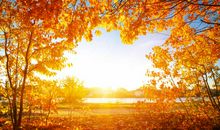 秋天，阳光好暖_900字