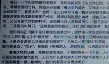 关于自我介绍的作文：大队部自我介绍_600字
