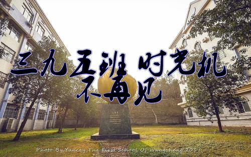到第95级_400字