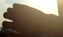 向着阳光的方向_50字