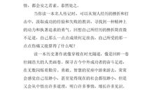 镜子里的自己_700字