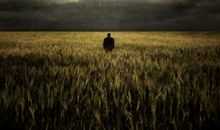 一个人独处时_450字