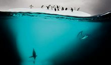 别惊扰了那只蝴蝶_800字