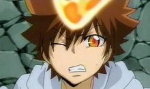 纲吉、纲武、纲雷_750字