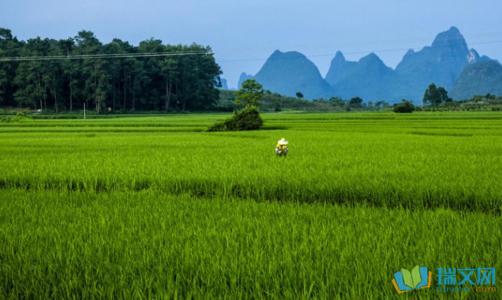 在风景上的构图：天喻在初夏_450字
