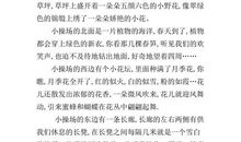 关于风景的作文：快乐的操场_500字