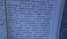 关于风景的作文：操场的四季_500字