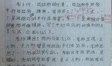 公益活动日记_1200字