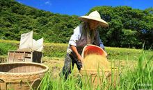 累并快乐着_1500字