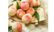 一只水蜜桃的自述_200字