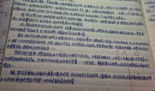 关于你追求的作文_300字