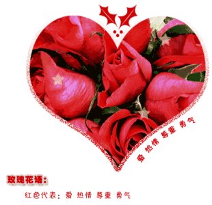 我喜欢玫瑰_300字