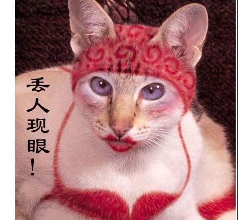 植物人们的声音_100字