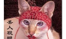 植物人的心声_100字