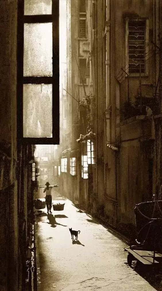 我正在下雨的小巷_200字