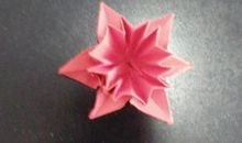 美丽的水仙花_400字