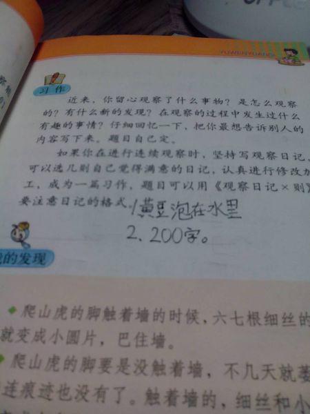 小雪，住在旧班的家里晚上，晚安，小雪。