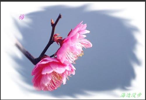 突然暗云覆盖着阳光，储藏室的门打开，校长出现在我们面前，而且在他身后的笑容是我们的死，这次她是黑色的。看着校长的严格眼睛，我想到了学校，我叫父母的后果，我的心脏在泰坦尼克里的泰坦尼克里奇，偷偷溜进寒冷的海中。经过短暂但令人窒息的沉默，他说：“校长，他来找我，我不会愿意，他即将到来。”窗户吹出风，吹树的桃花，也吹了覆盖太阳的云。