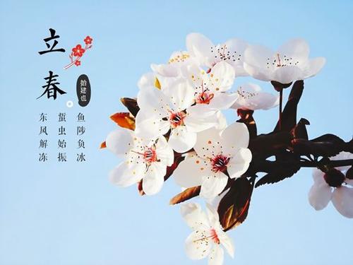 雪是春天_750字
