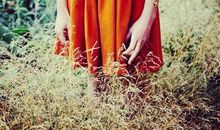 青春打马过_150字