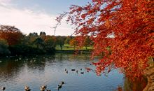 秋日的风景_800字