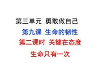 生命只有一次_250字