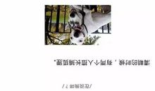 一次有趣的恶作剧_750字