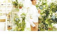 我走过，停过，却依旧执着_350字