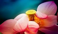 关于外公的作文：点亮心中的灯_800字