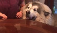 妈妈请再爱我一次_1500字