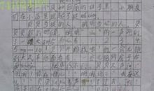 捉迷藏_300字