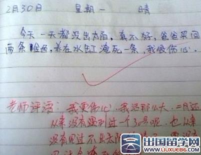 日记一_900字