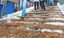 我和雪花做个伴_1500字