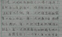 军训总结作文：军训总结_550字