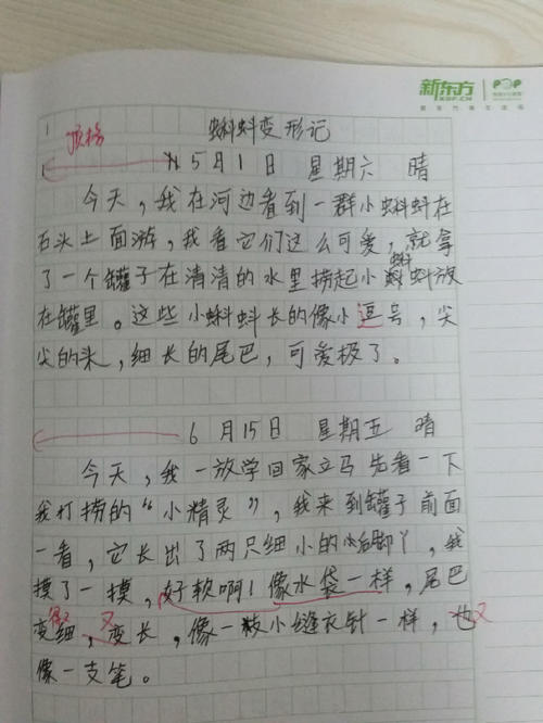 第一叙事组成：爸爸的修改_550字