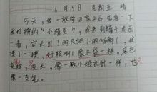 初一叙事作文：爸爸的变形记_550字