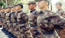 经历了军训_1200字