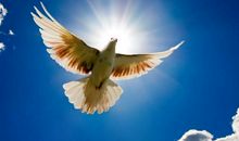 无中的转口_700字