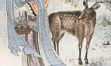 历史典故：不可多得